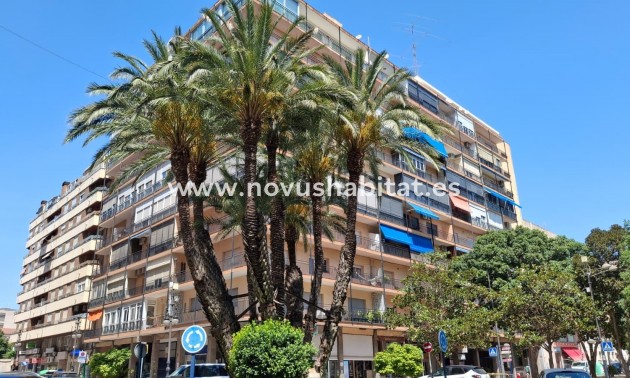 Apartamento - Segunda mano - Orihuela - Zona Centro