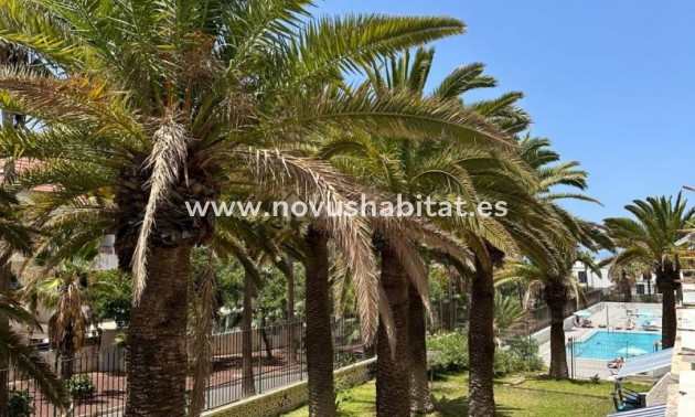 Apartamento - Segunda mano - Playa De Las Americas - Playa Honda Playa de Las Americas Tenerife