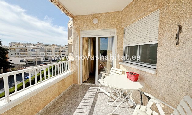 Apartment / Duplex - Herverkoop - Torrevieja - Torrevieja