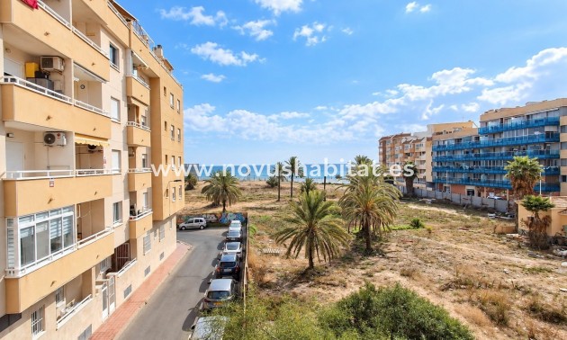Apartment / Duplex - Revente - Torrevieja - Torrevieja
