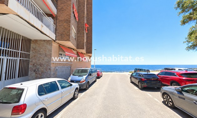 Apartment / Duplex - Segunda mano - Torrevieja - Torrevieja