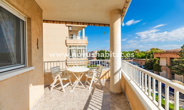 Apartment / Duplex - Segunda mano - Torrevieja - Torrevieja