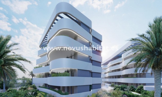 Apartment - New Build - Guardamar del Segura - REDSPG-90307