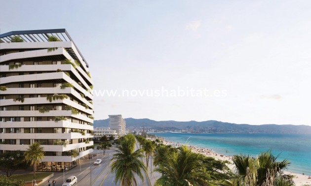 Apartment - New Build - Málaga - Málaga