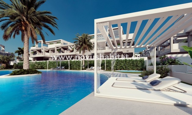 Apartment - New Build - Torrevieja - REDSPG-11218
