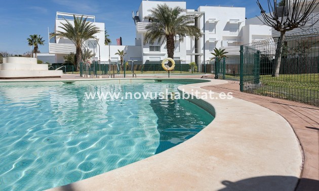Apartment - New Build - Vera - Vera