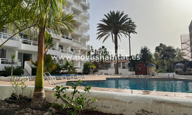 Apartment - Resale - Adeje - Santa Cruz de Tenerife