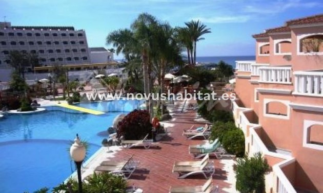 Apartment - Resale - Costa Adeje - Sol Sun Beach Costa Adeje Tenerife