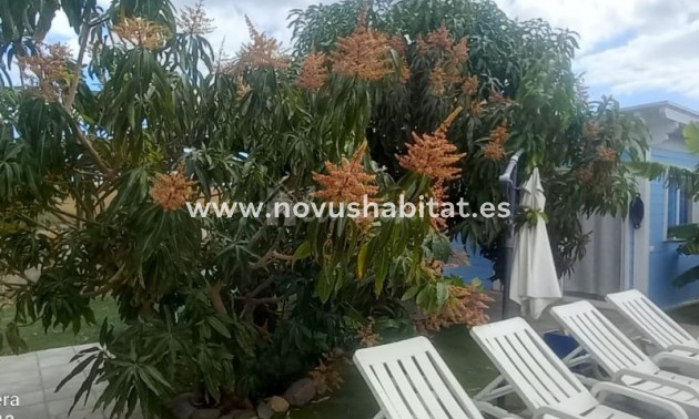 Apartment - Resale - Las Galletas - Estrella Del Sur Las Galletas Tenerife