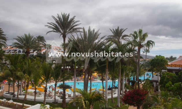 Apartment - Resale - Playa De Las Americas - Parque Santiago III Las Americas Tenerife