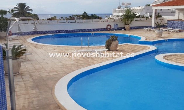 Apartment - Resale - San Eugenio - Holiday Valley San Eugenio Tenerife