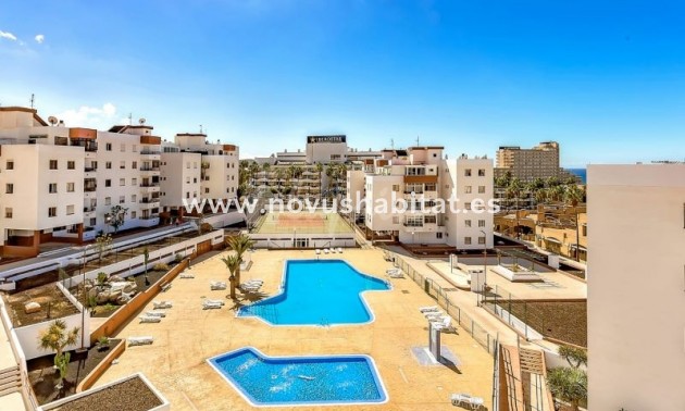 Apartment - Resale - San Eugenio - Palmeras De Sur San Eugenio