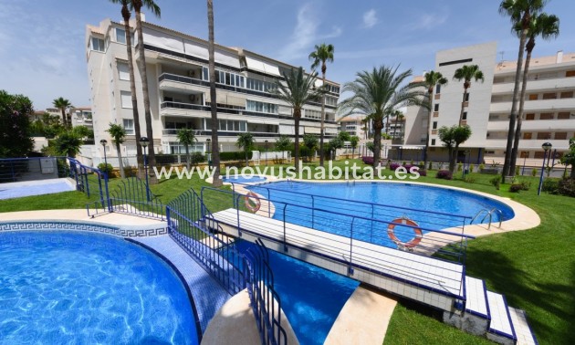 Appartement - Herverkoop - Albir - Albir