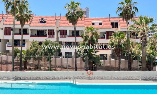 Appartement - Herverkoop - Playa De Las Americas - Playa Honda Las Americas Tenerife