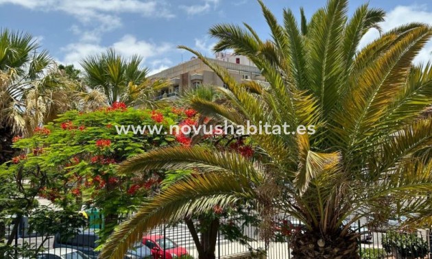 Appartement - Herverkoop - Playa De Las Americas - Playa Honda Playa de Las Americas Tenerife