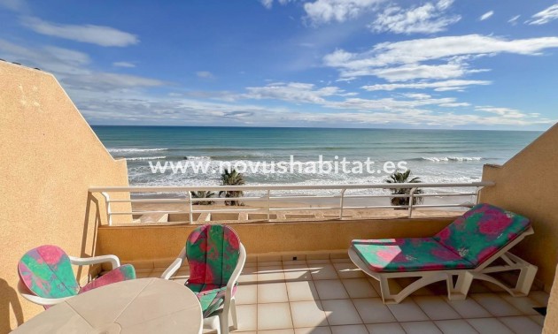 Appartement - Herverkoop - Torrevieja - La Mata Pueblo
