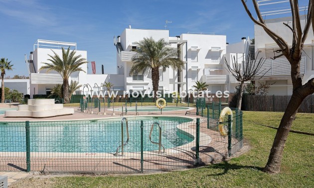 Appartement - Nieuwbouw - Vera - Vera