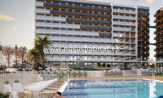  Appartement - Nouvelle construction - Torrevieja - Punta Prima