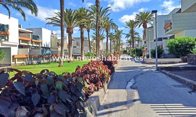  Appartement - Revente - Costa Del Silencio - Primavera Costa Del Silencio Tenerife