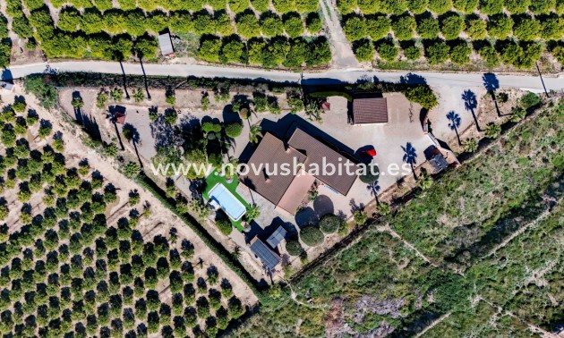 Chalets Independientes - Sprzedaż - Alicante - Jacarilla