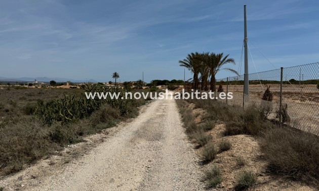 Colis - Nouvelle construction - Elche/Elx - Elche/Elx