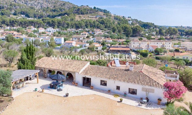 Colis - Revente - Alcalalí - Alcalalí