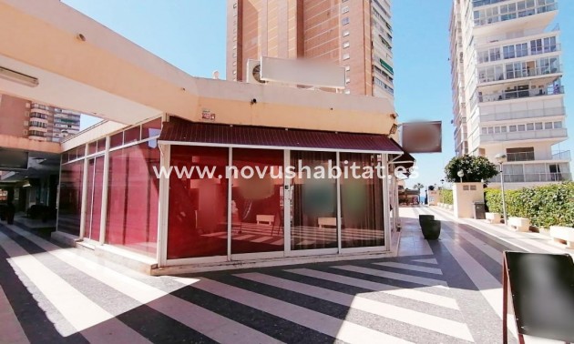 Commercial premises - Nouvelle construction - Benidorm - Benidorm