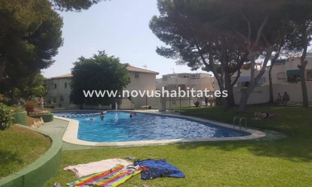 Detached chalet - Nowa inwestycja - Torrevieja - Torrevieja