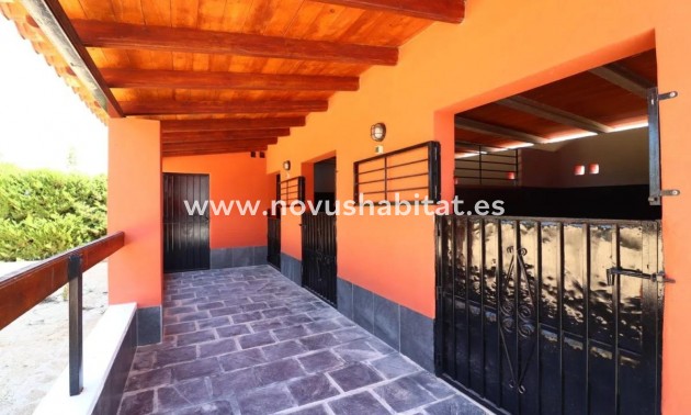 Detached chalet - Nueva construcción  - Almoradí - Almoradí
