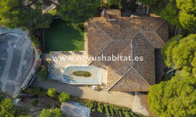 Detached chalet - Nueva construcción  - Orihuela - Orihuela