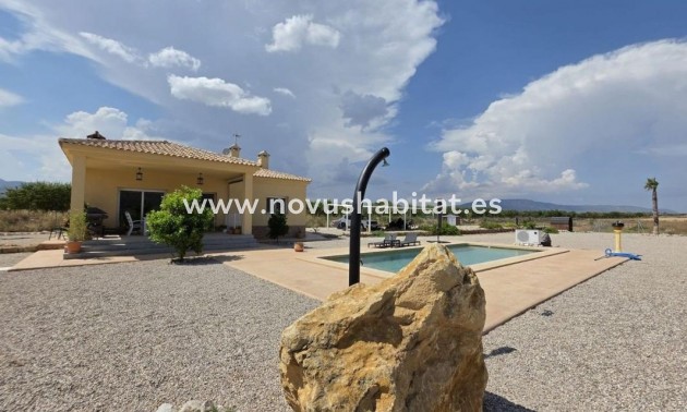 Detached chalet - Nueva construcción  - Pinoso - Pinoso