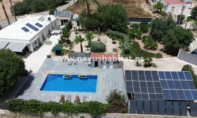 Detached Villa - Wiederverkauf - Crevillente - Crevillente