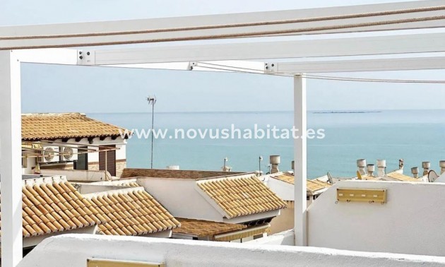 Duplexes - Nueva construcción  - Guardamar del Segura - Guardamar del Segura