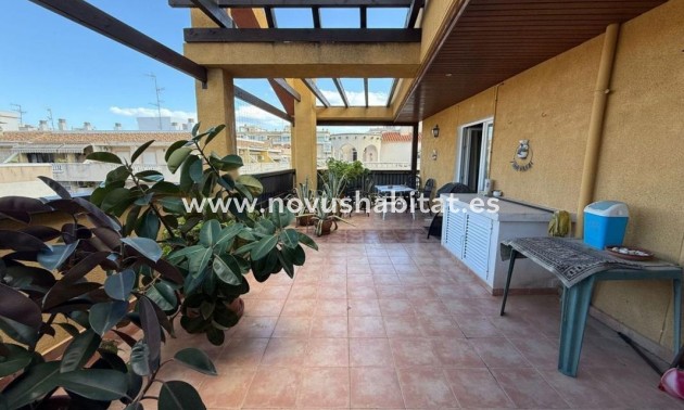 Duplexes - Nueva construcción  - Torrevieja - Torrevieja