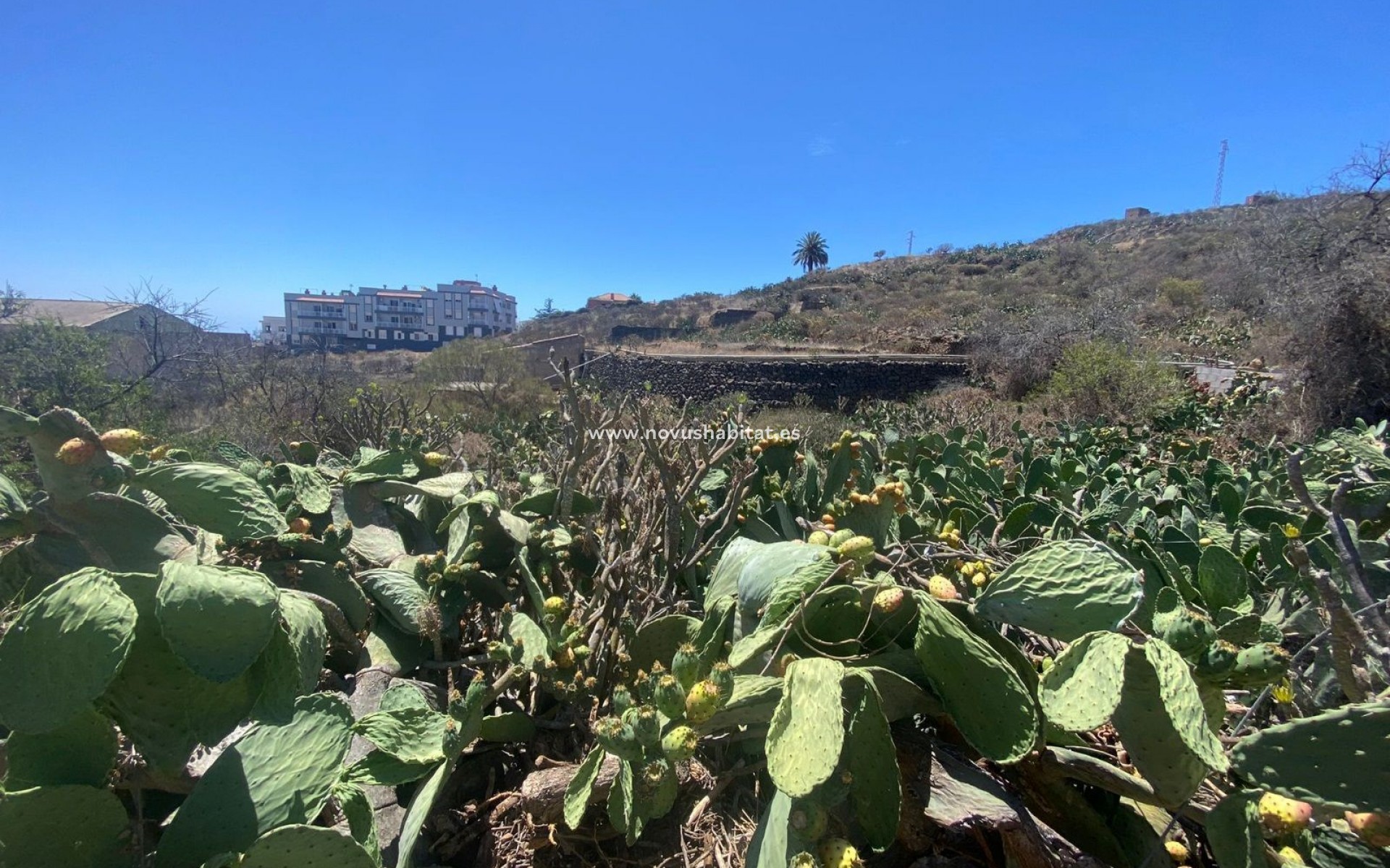 Endursala -  - Granadilla de Abona - Santa Cruz Tenerife