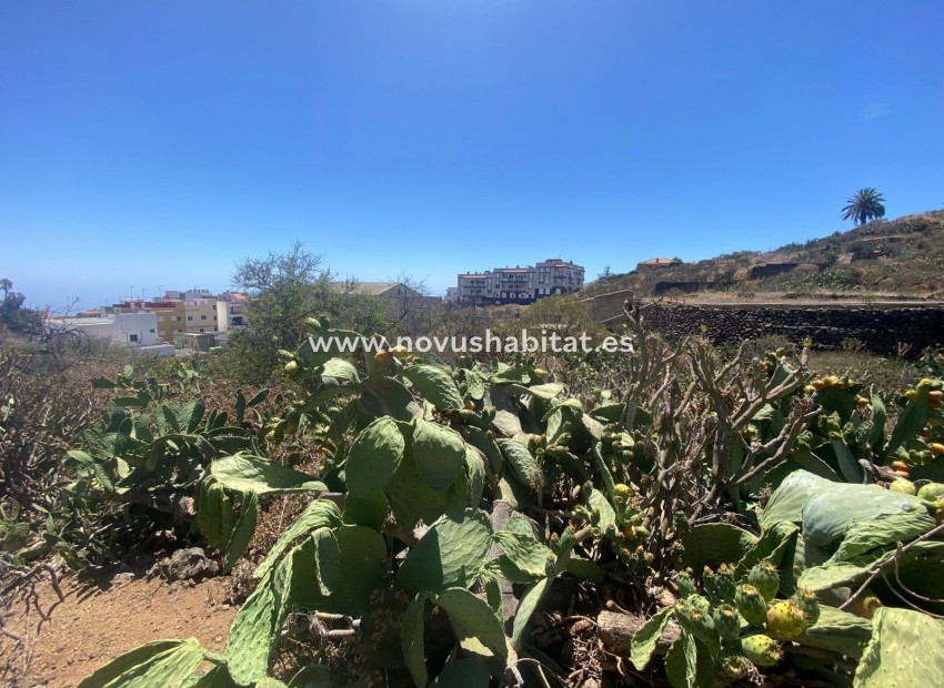 Endursala -  - Granadilla de Abona - Santa Cruz Tenerife