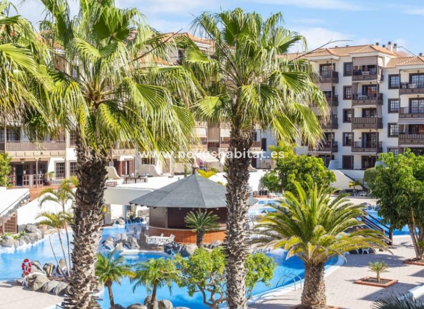 Endursala - Íbúð - Costa Del Silencio - Balcon Del Mar Costa Del Silencio Tenerife