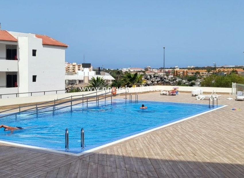 Endursala - Íbúð - Los Cristianos - Cerromar Los Cristianos Tenerife