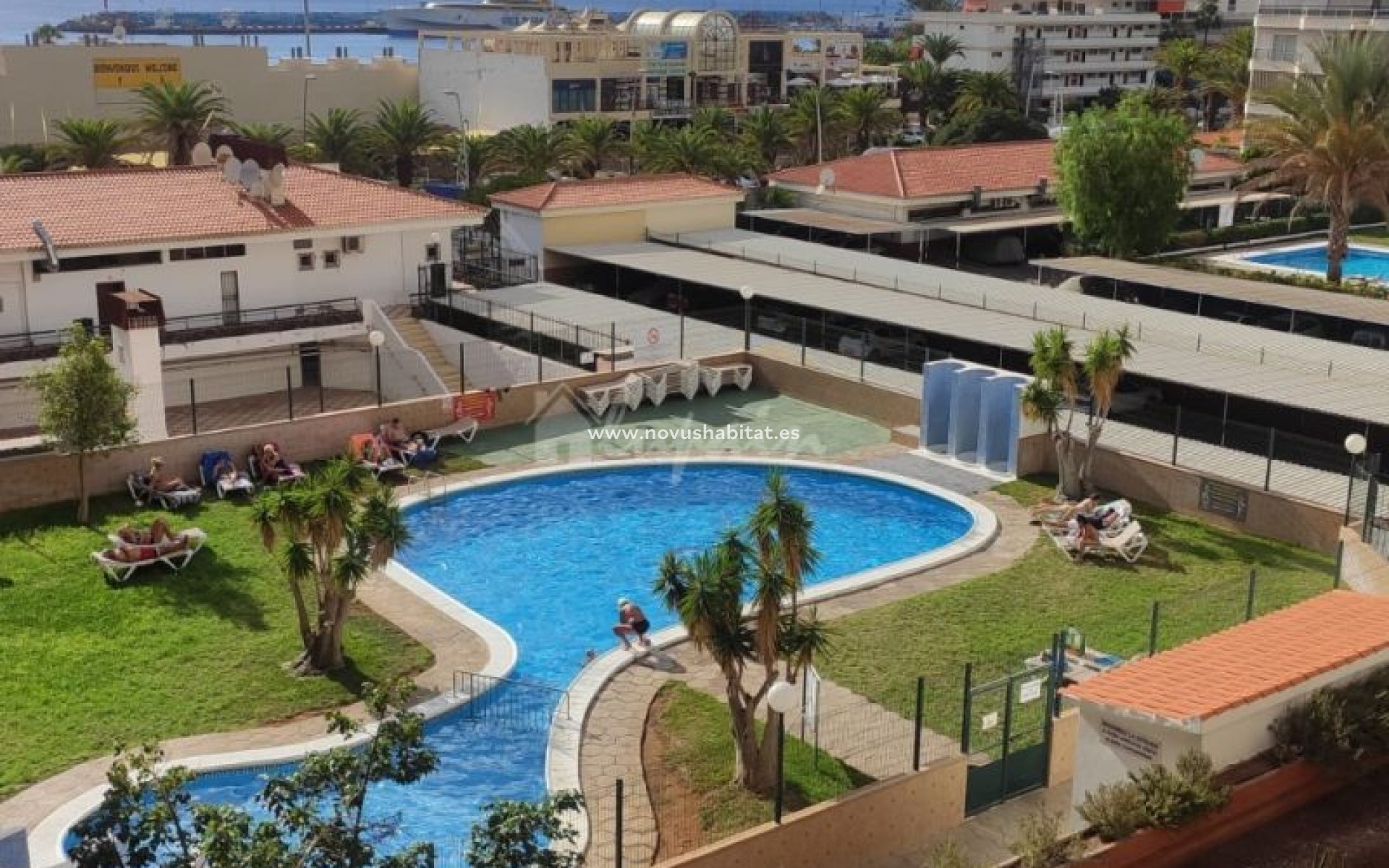 Endursala - Íbúð - Los Cristianos - Jardines Canarios Los Cristianos Tenerife