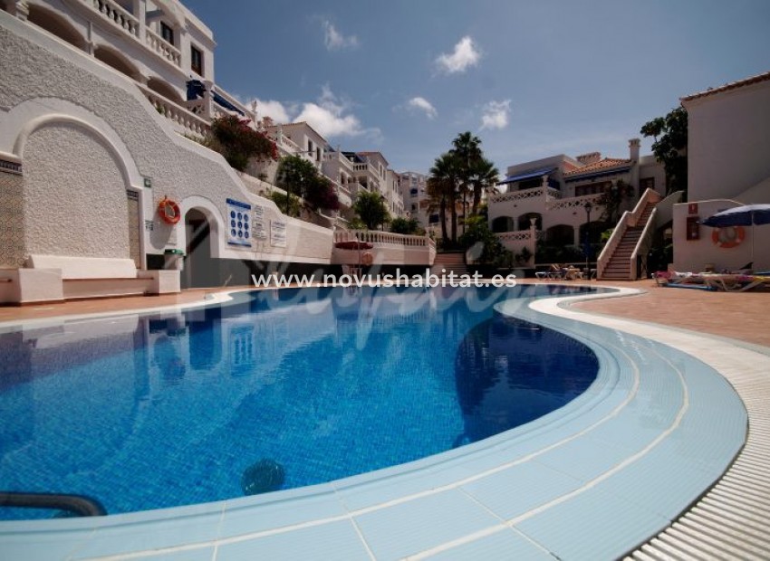 Endursala - Íbúð - Los Cristianos - Royal Palm Los Cristianos Tenerife