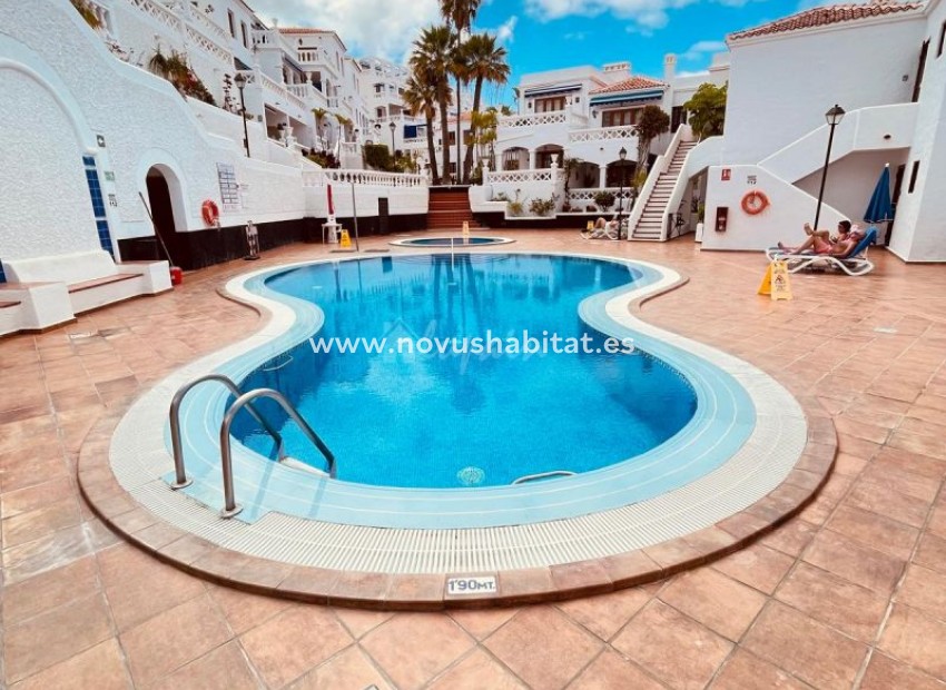 Endursala - Íbúð - Los Cristianos - Royal Palm Los Cristianos Tenerife