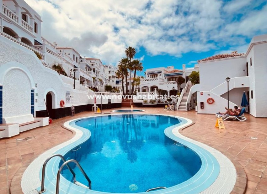 Endursala - Íbúð - Los Cristianos - Royal Palm Los Cristianos Tenerife