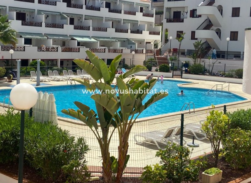 Endursala - Íbúð - Los Cristianos - Victoria Court 2 Los Cristianos Tenerife