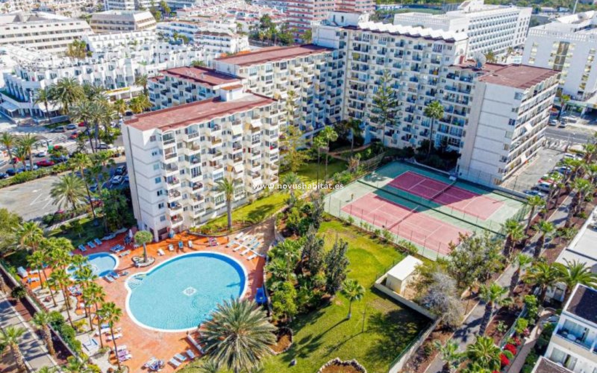 Endursala - Íbúð - Playa De Las Americas - Avda Santiado Puig, 38650 Playa De Las Americas Adeje Tenerife