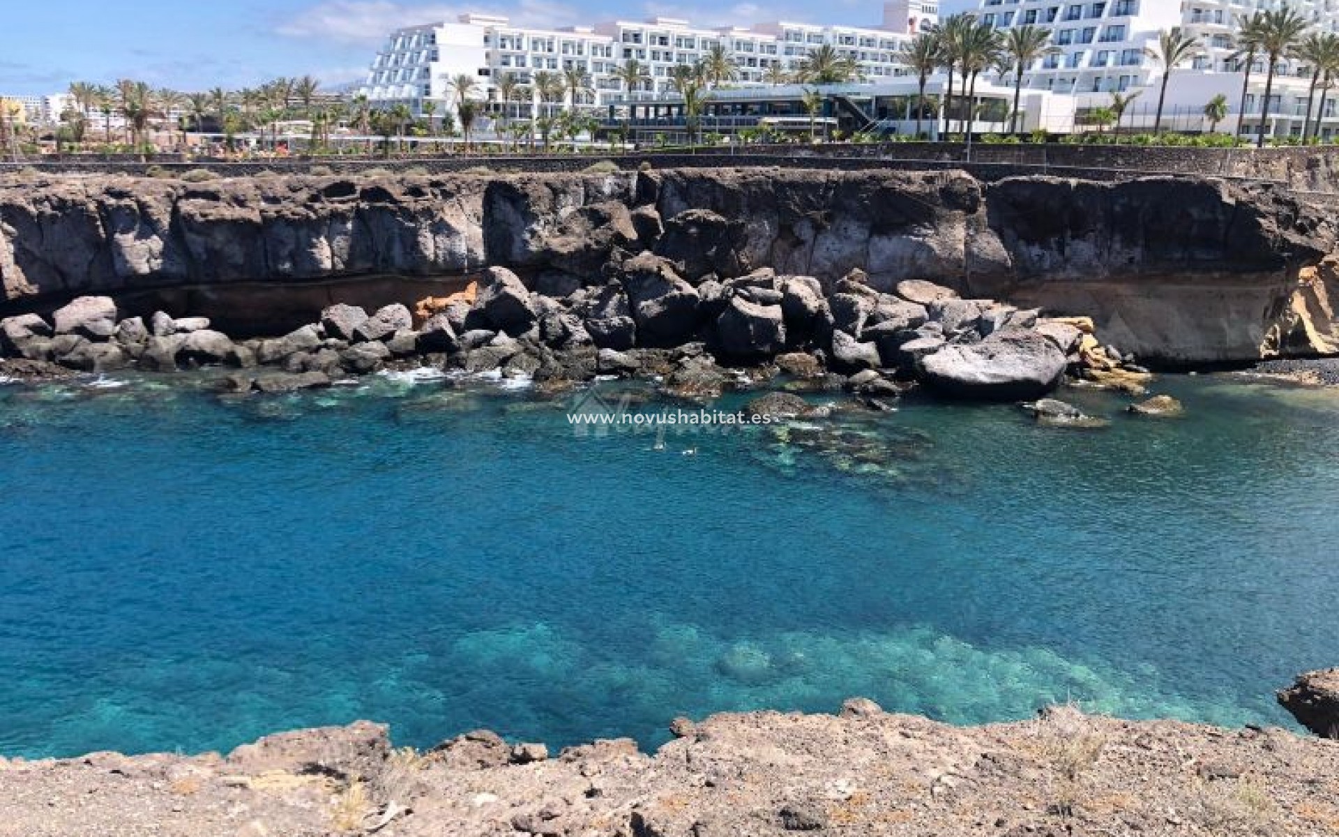 Endursala - Íbúð - Playa Paraiso - Club Paraiso Playa Paraiso Tenerife