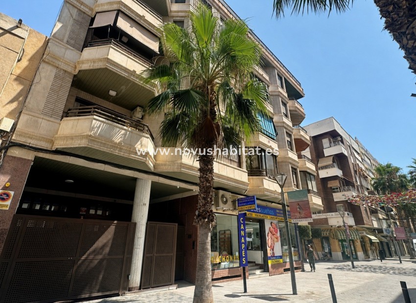 Endursala - Íbúð - Torrevieja