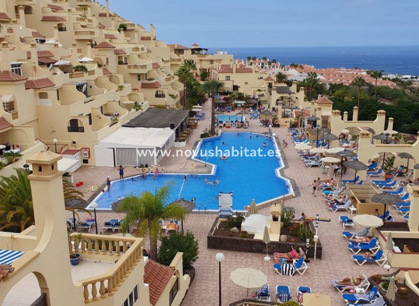 Endursala - Íbúð - Torviscas - Balcon De Andalucia Torviscas Tenerife