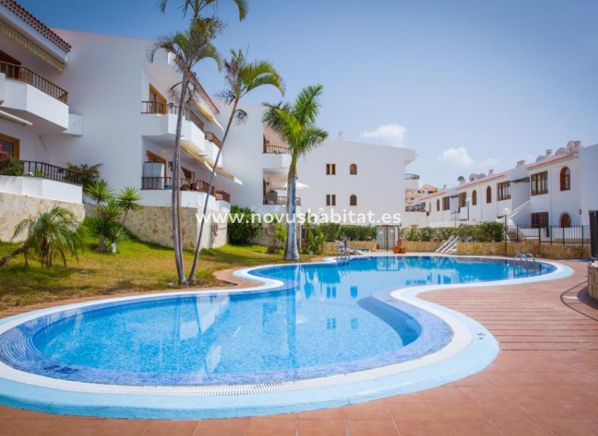 Endursala - Íbúð - Torviscas - Bouganvillas Torviscas Tenerife