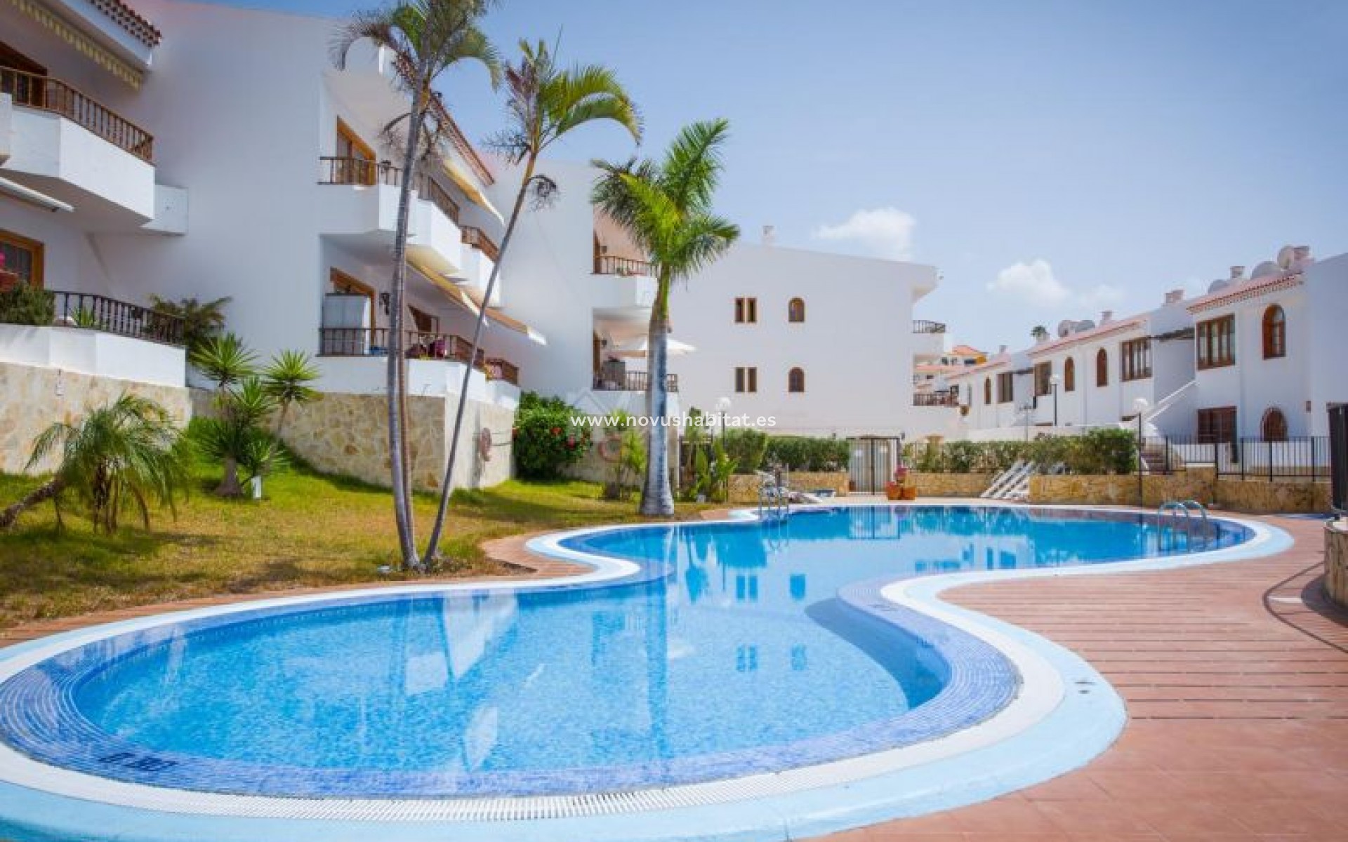 Endursala - Íbúð - Torviscas - Bouganvillas Torviscas Tenerife