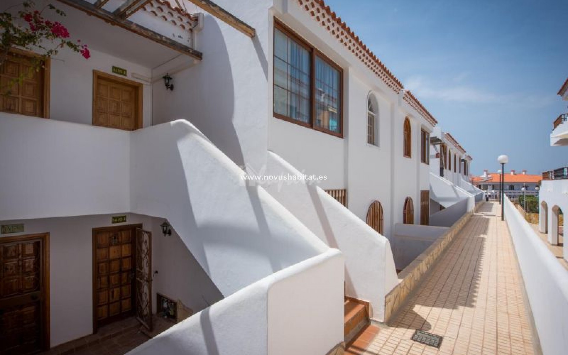 Endursala - Íbúð - Torviscas - Bouganvillas Torviscas Tenerife